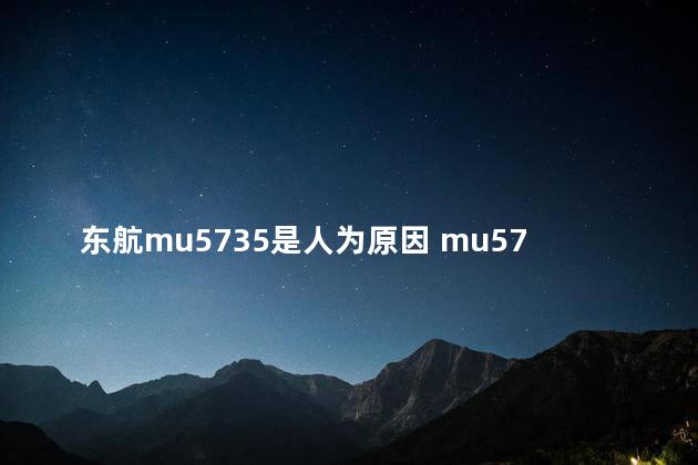 东航mu5735是人为原因 mu5735外网揭秘